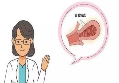 做試管嬰兒前如何調(diào)理內(nèi)膜，學(xué)會這些方法提高著床成功率